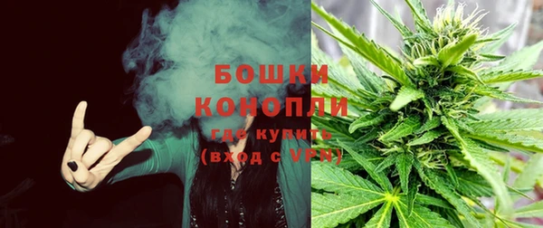 первитин Кропоткин