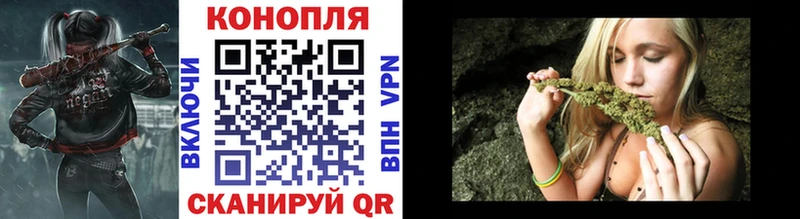 где продают наркотики Суворов Шишки марихуана план